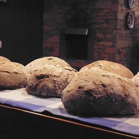 Quinta Do Favacal - - Serra Da Estrela 乡村民宿