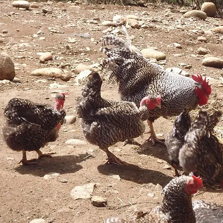 Hétvégi ház Quinta Do Favacal - - Serra Da Estrela Casegas