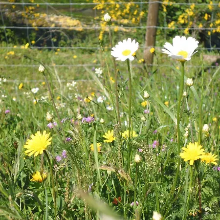 Quinta Do Favacal - - Serra Da Estrela