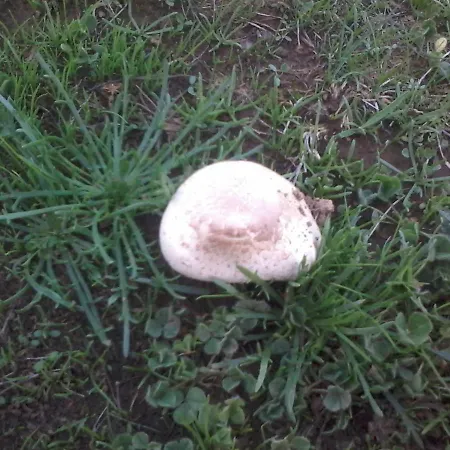 Quinta Do Favacal - - Serra Da Estrela Hétvégi ház *