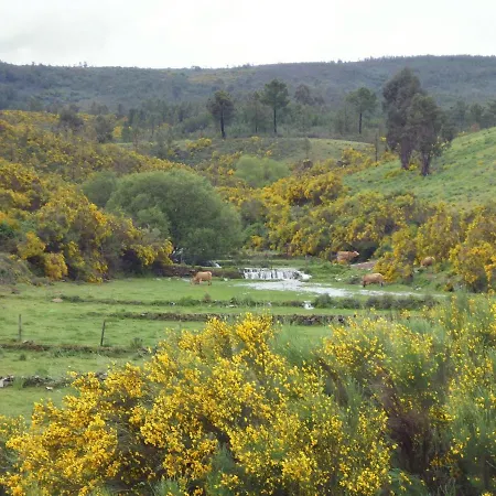 Quinta Do Favacal - - Serra Da Estrela * Casegas
