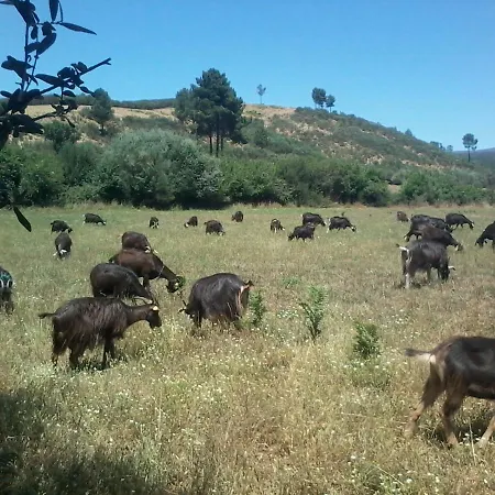 Hétvégi ház Quinta Do Favacal - - Serra Da Estrela *